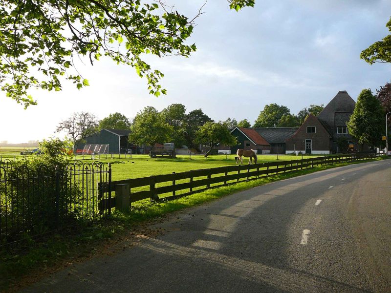 country road.jpg